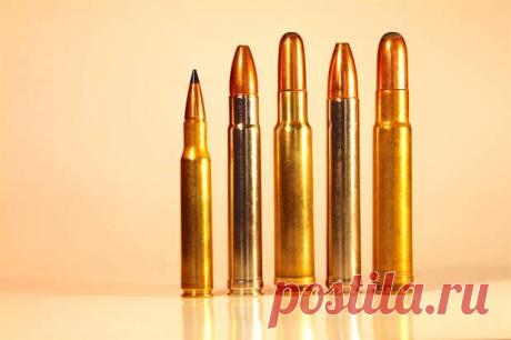 Патроны, калибры и тараканы - Huntportal.ru - медиаплатформа МирТесен Некоторое время назад я принимал участие в тестировании в условиях охоты новой модели охотничьей винтовки известной компании, новой линейки оптики (оптический прицел, бинокль и дальномер) под её же брендом, предлагаемой для комплектации данной модели оружия, и нового патрона, конечно, «магнума»,
