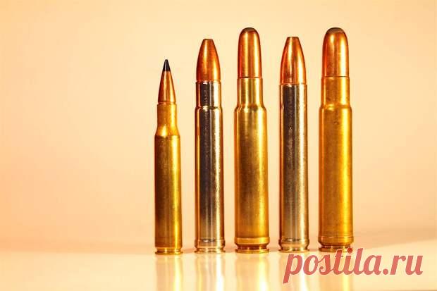 Патроны, калибры и тараканы - Huntportal.ru - медиаплатформа МирТесен Некоторое время назад я принимал участие в тестировании в условиях охоты новой модели охотничьей винтовки известной компании, новой линейки оптики (оптический прицел, бинокль и дальномер) под её же брендом, предлагаемой для комплектации данной модели оружия, и нового патрона, конечно, «магнума»,