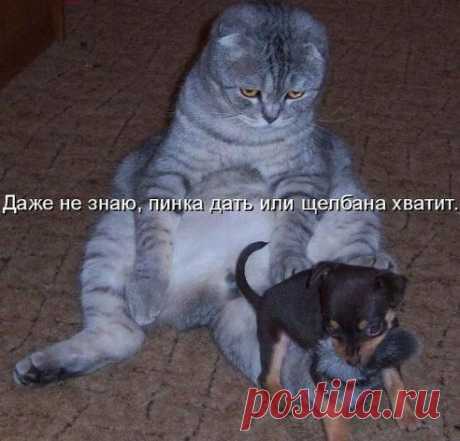 Интересные новости
