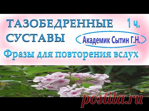 ТАЗОБЕДРЕННЫЕ СУСТАВЫ (С ПАУЗАМИ ДЛЯ ПОВТОРЕНИЯ ВСЛУХ) - YouTube