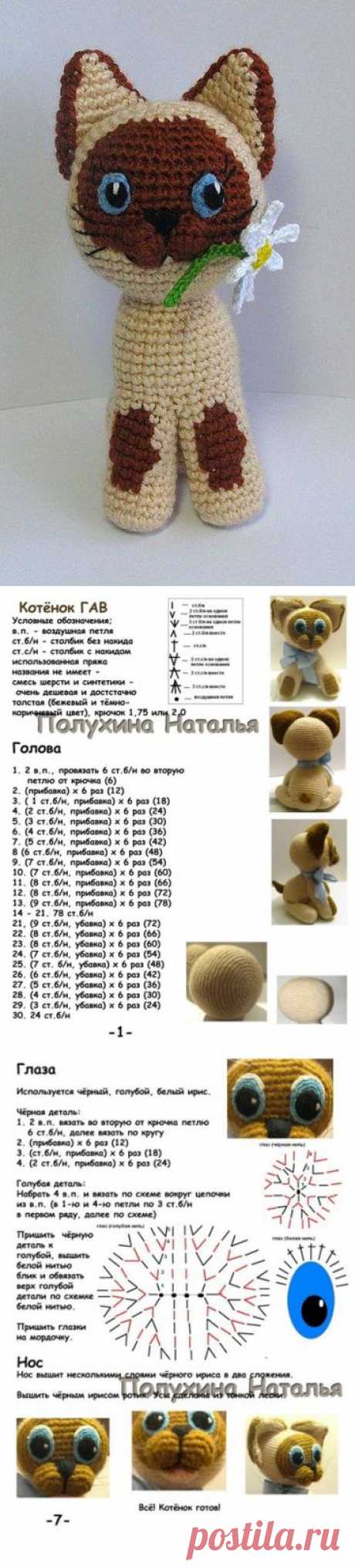 КОТЕНОК ГАВТ