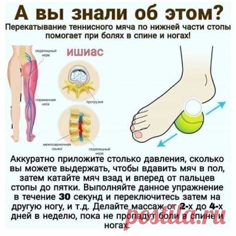 Перекатывание теннисного мяча от болей в спине и ногах