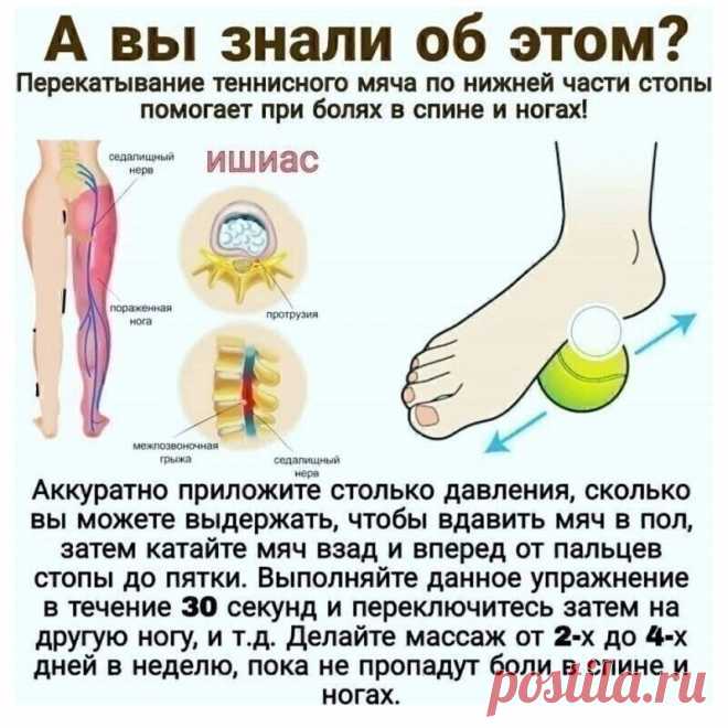 Перекатывание теннисного мяча от болей в спине и ногах