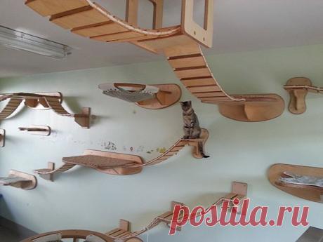 21 Creative Furniture Design Ideas For Pets | DeMilked