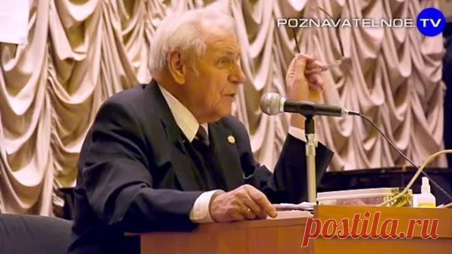 Натуральное бесплатное снотворное. Как улучшить сон (Иван Неумывакин)