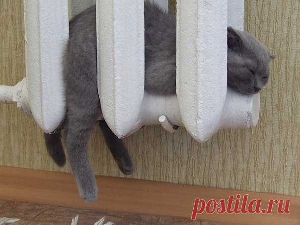 #доброеутро
