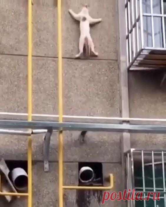 Cute kitten video | adorable cats video | lovely kitty video #cutecat #cutecats #catlover #catlovers #amazingcats #adorable #cute #cutest #amazing