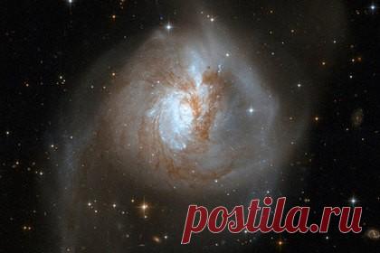 7 тайн продажи Аляски. К 150-летию продажи Аляски - 5 Января 2017 - Наша Планета.Мир вокруг нас