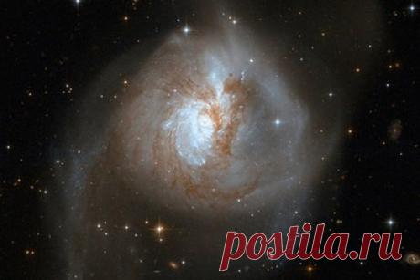 7 тайн продажи Аляски. К 150-летию продажи Аляски - 5 Января 2017 - Наша Планета.Мир вокруг нас