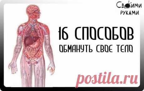 16 СПОСОБОВ ОБМАНУТЬ СВОЕ ТЕЛО