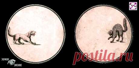 ⌘ ЗАРЯДКА ДЛЯ ГЛАЗ ⌘
Создана на основе старинной игрушки иллюзии для глаз тауматропе
Совмести собаку и кошку!

Перед вами одно из сильнейших упражнений для тренировки зрительной системой и осознанного управления мышцами глаз.
Показать полностью...