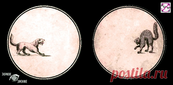 ⌘ ЗАРЯДКА ДЛЯ ГЛАЗ ⌘
Создана на основе старинной игрушки иллюзии для глаз тауматропе
Совмести собаку и кошку!

Перед вами одно из сильнейших упражнений для тренировки зрительной системой и осознанного управления мышцами глаз.
Показать полностью...