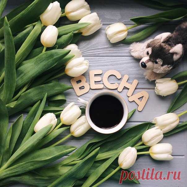 Доброе утро, любимые люди. Доброе утро, родные сердца! И целый день, и утро, и вечер Улыбка у вас пусть не сходит с лица! Солнце лучами вам светит в окошко И заполняет собою сердца. Доброе утро, любимые люди, Мир вам и счастье желаю сполна!