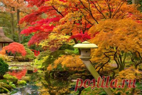 Япония: дегустация осени – РБК.Travel