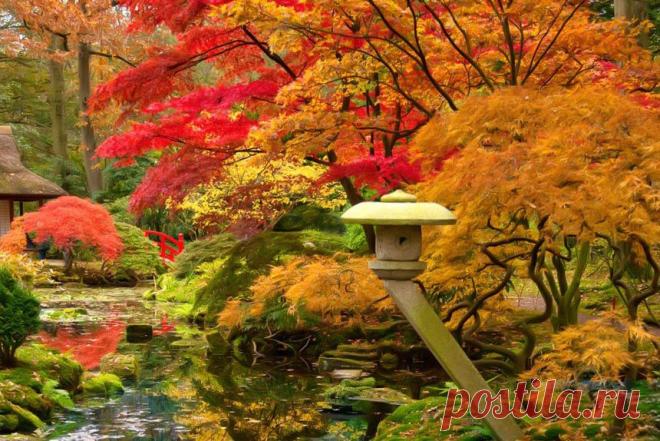 Япония: дегустация осени – РБК.Travel