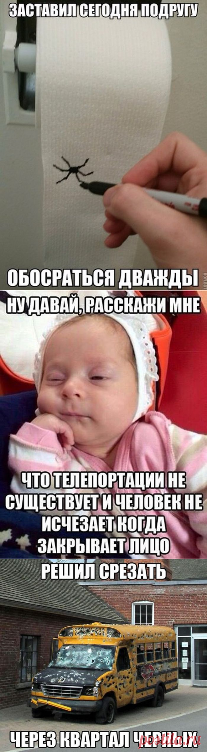 Смешные картинки с подписями