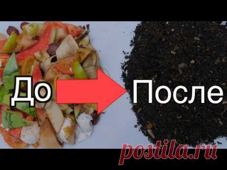 Быстрый компост прямо на грядках