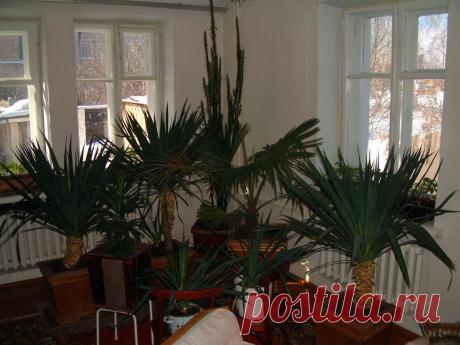 (67) Одноклассники