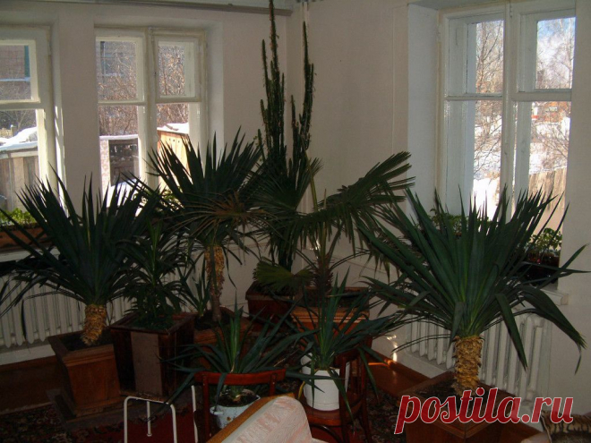 (67) Одноклассники