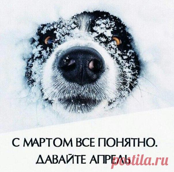 Иван Яковенко