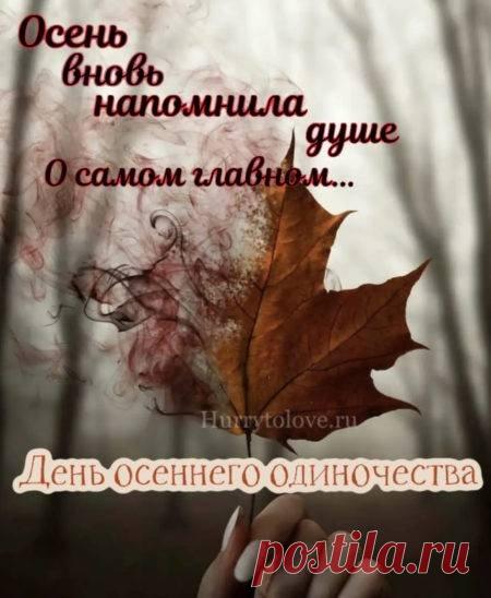 Пусть осень принесёт щедрые плоды и новые радости. Открытки на День осеннего одиночества!