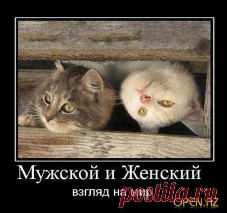 Афоризмы о мужчинах и женщинах