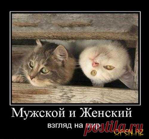 Афоризмы о мужчинах и женщинах