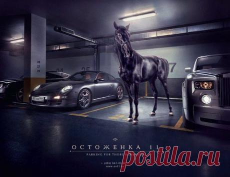 Реклама парковки в элитном жилом комлексе Остоженка: Парковка только для чистокровных / Занимательная реклама