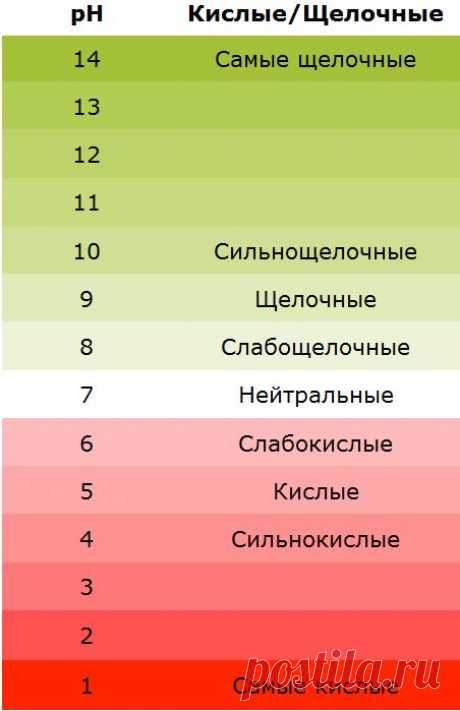 Как определить кислотность почвы по сорнякам?