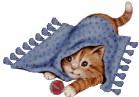Анимашки Кошки от 0 до 50