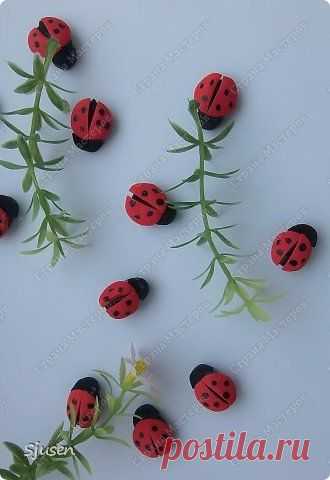 Божьи коровки из фоамирана