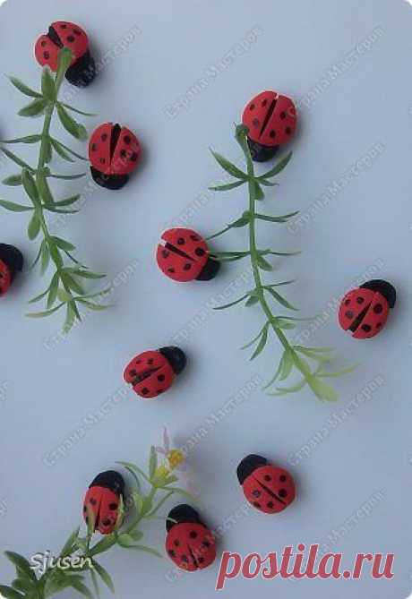 Божьи коровки из фоамирана