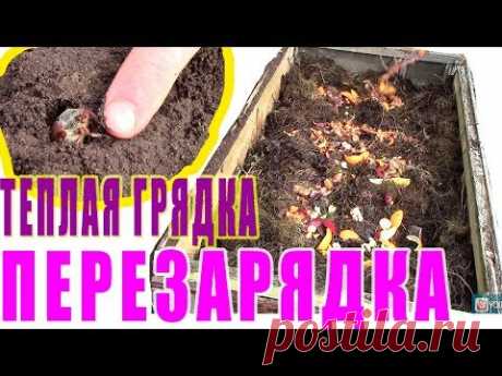 Перезарядка высокой теплой грядки для МОЩНОГО УРОЖАЯ