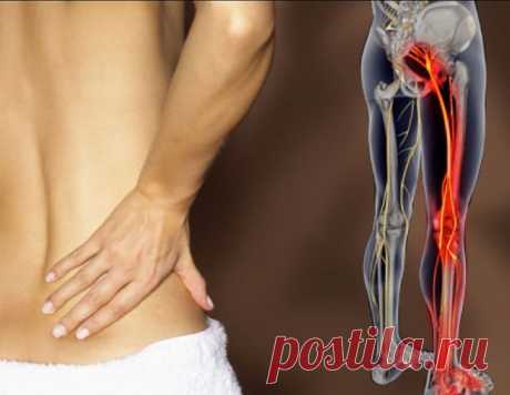 КАК РАЗБЛОКИРОВАТЬ СЕДАЛИЩНЫЙ НЕРВ
Как разблокировать седалищный нерв: 2 простых способа снять боль
Седалищный нерв свое начало берет в поясничном отделе позвоночника и, проходя через ягодицы, тянется к ступне. Поэтому боль при его защемлении чувствуется особенно сильно. 
Как правило, термин «защемление/ущемление седалищного нерва» подразумевает потерю эластичности и гибкости мышц задней поверхности ноги. Это часто связано с процессом возрастного укорочения (ригидности) мы...
