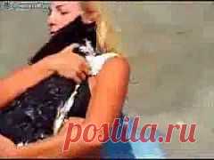 (+1) тема - Плавцы | ВИДЕОСМАК