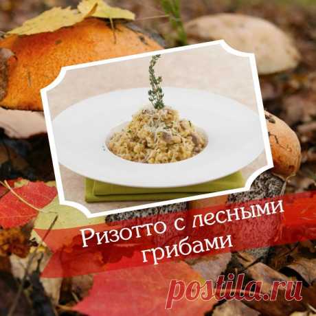 5 вкуснейших блюд из лесных грибов, от которых у вас потекут слюнки