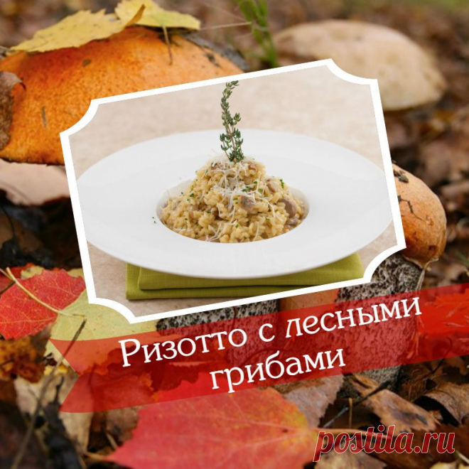 5 вкуснейших блюд из лесных грибов, от которых у вас потекут слюнки