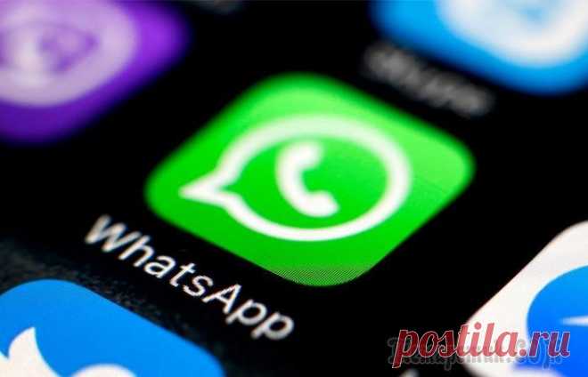 9 малоизвестных, но очень полезных фишек WhatsApp.