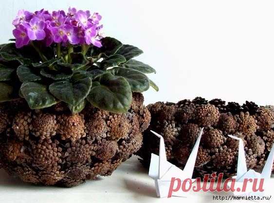 Цветы из шишек, семечек, листьев кукурузы, фисташек и макарон