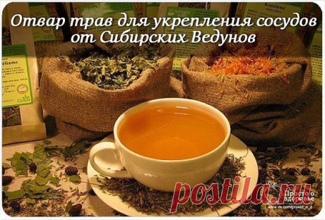 ОТВАР ТРАВ ДЛЯ УКРЕПЛЕНИЯ СОСУДОВ ОТ СИБИРСКИХ ВЕДУНОВ.