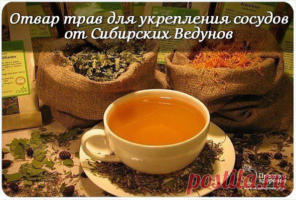 ОТВАР ТРАВ ДЛЯ УКРЕПЛЕНИЯ СОСУДОВ ОТ СИБИРСКИХ ВЕДУНОВ.