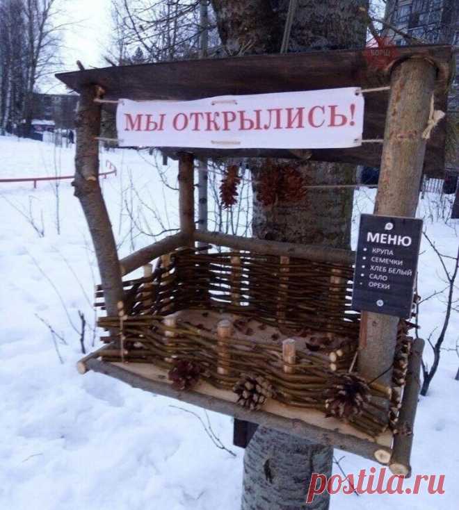 А вы делаете кормушки для птиц?))