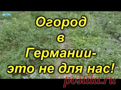 Какие бывают огороды в Германии.