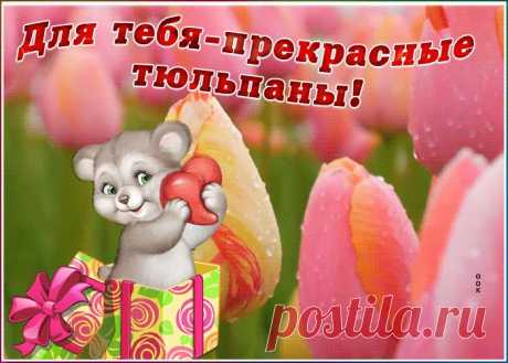 Виртуальная открытка с тюльпанами