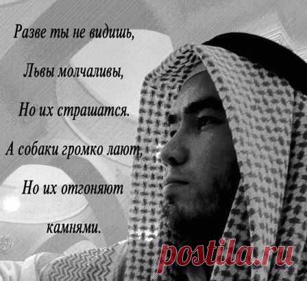 Говори, что захочешь,
понося мою честь.На
низость — молчание
станет ответом. Мне не
то чтоб ответить, было
ничем, Просто львы не отвечают собакам.