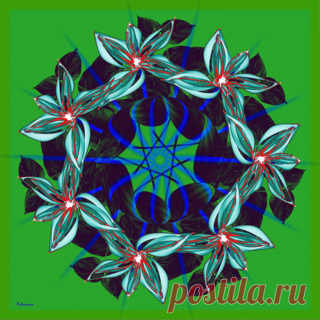 Mandala Graceful  Free Stock Photo HD - Public Domain Pictures