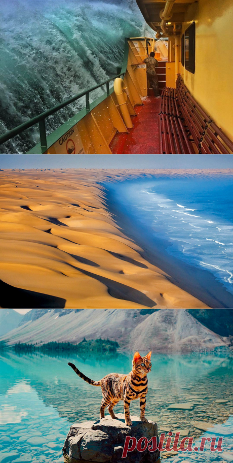 Лучшие фотографии 2017 года