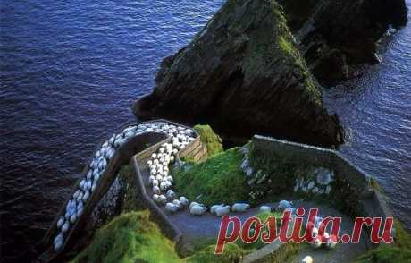 (72) Одноклассники