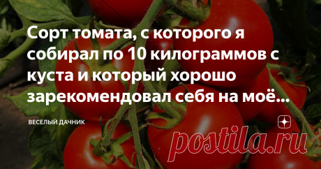 Сорт томата, с которого я собирал по 10 килограммов с куста и который хорошо зарекомендовал себя на моём огороде🍅 Всем привет! Рад приветствовать Вас на своём канале.
Сегодня я хочу поделиться своим открытием - сорт томата, который отличился неприхотливостью и скороспелостью. Возможно, для многих из вас данный сорт не новинка, но для себя я нашёл ещё один любимый сорт.
Приятного просмотра!
Сорт, о котором пойдёт речь, гибридный. На сегодняшний день он занимает довольно вы...