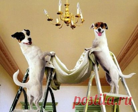 Мы -  это творческая команда, состоящая из опытных и талантливых дизайнеров по шторам. Выполняем профессиональный дизайн и пошив штор в Харькове и других городах, полный спектр услуг, от замеров до монтажа готовых изделий.